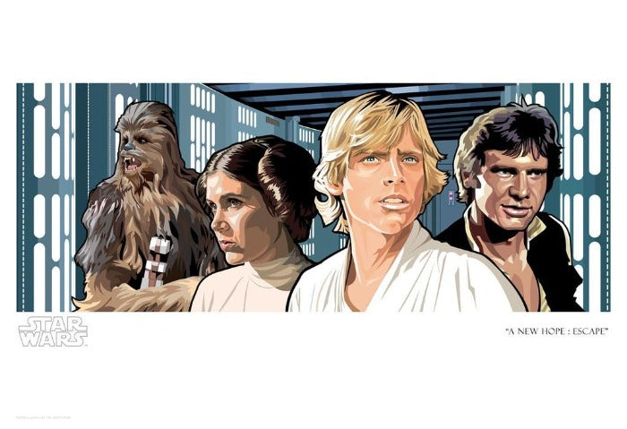 A landscape-orientated art print featuring characters from the Star Wars movie 'A New Hope', including Luke Skywalker, Leia, Han Solo, and Chewbacca.