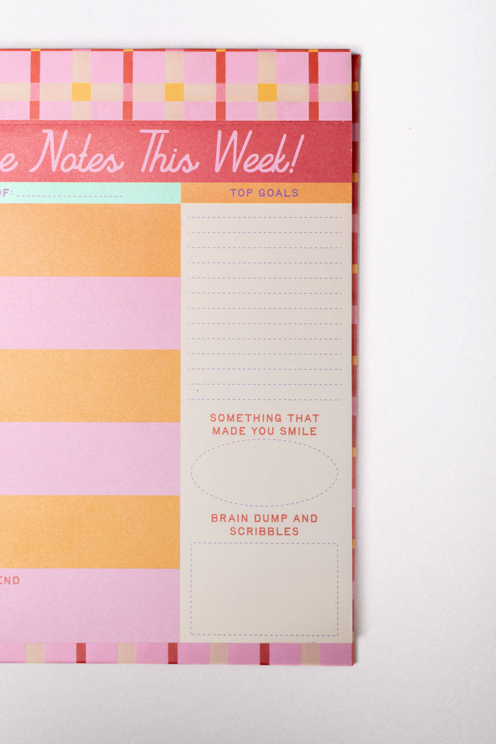 Colorful planner with checkered design on a white background top goals something that made you smile brain dumps
