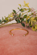Gold bracelet with two small diamonds on a pink surface with green leaves in the background