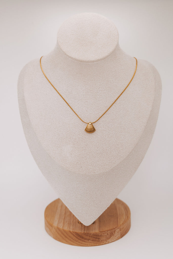 gold chain with seashell pendant