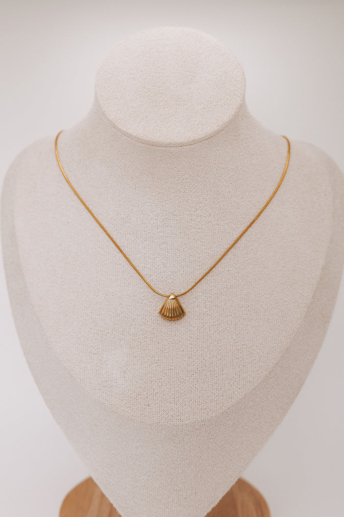 gold chain with seashell pendant