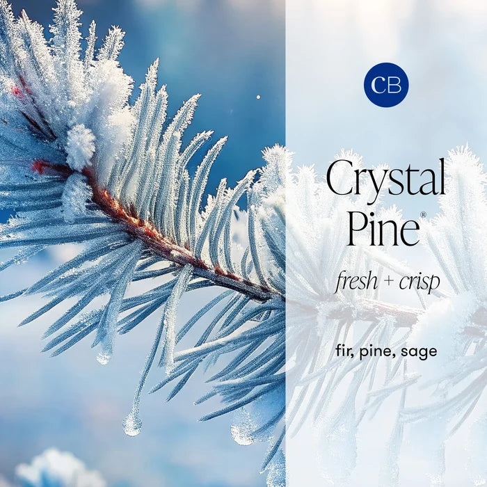 Frosted pine branch with 'Crystal Pine' fragrance description of fresh and crisp, with woody scents like fir, pine, and sage.
