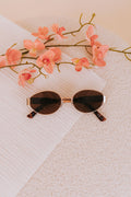 Daylight Sunglasses