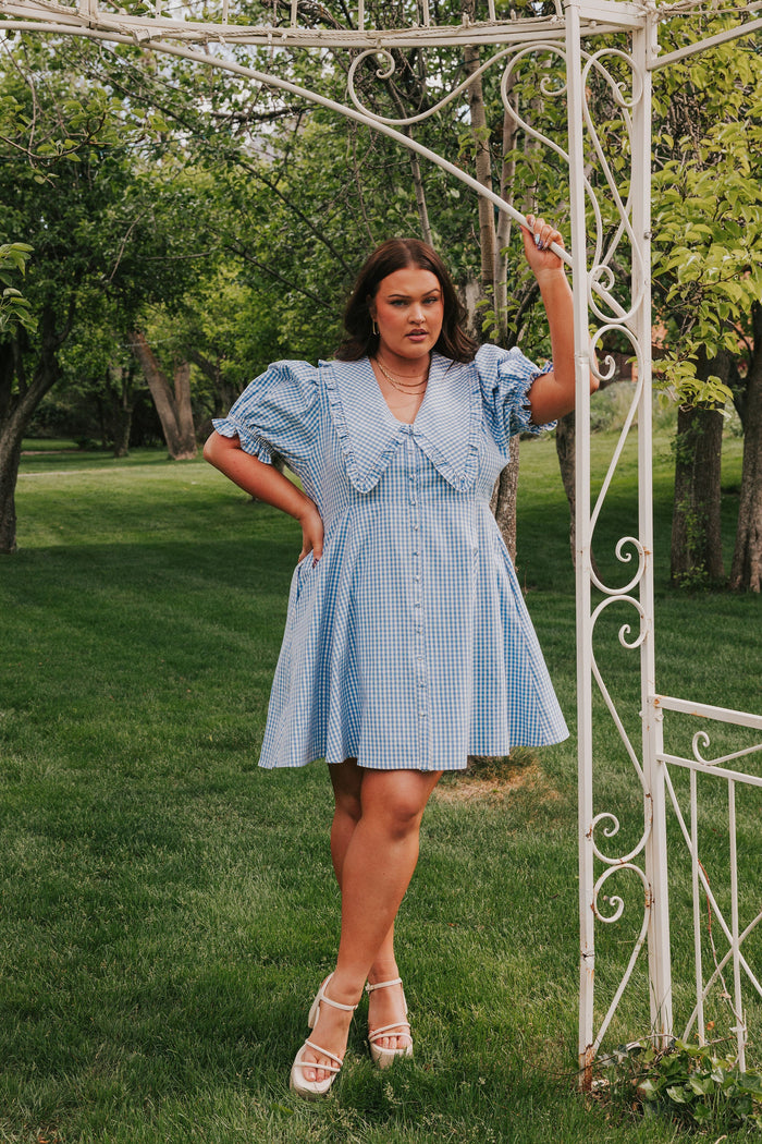 EXCLUSIVE - Country Afternoon Dress - 2 Colors!