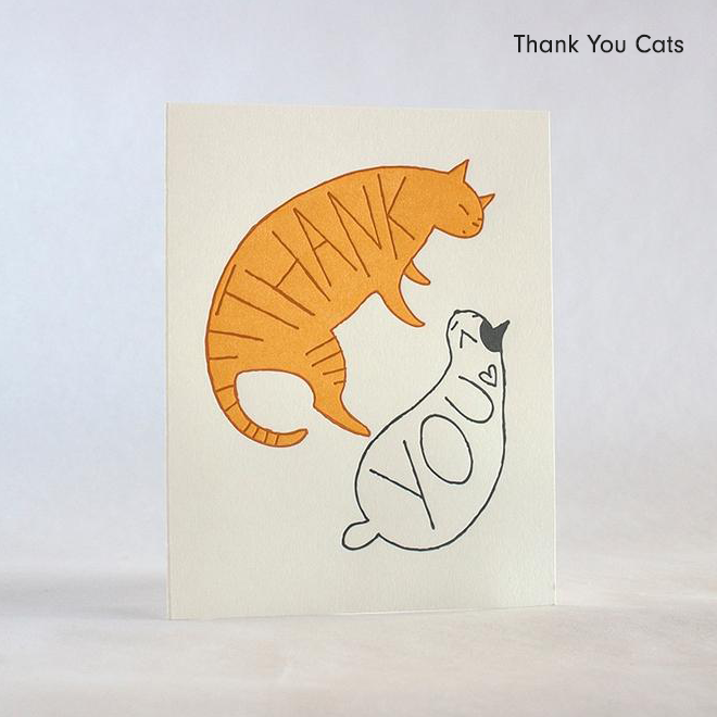 Thank You Cats