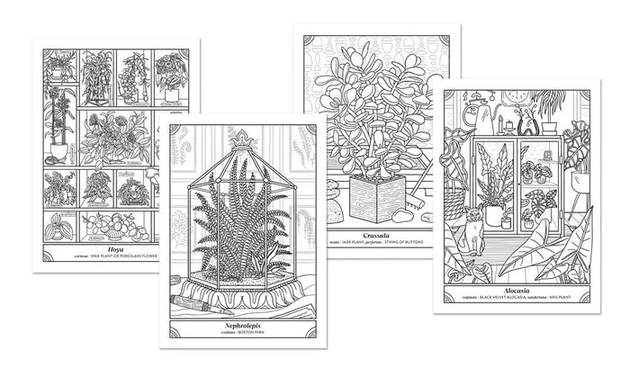 Happy Houseplant Coloring Book