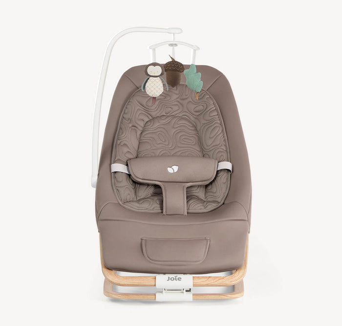 Joie Dreamer Rocker Strata Acorn Wood