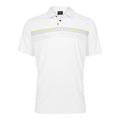 Oakley Print Layer Stripe Golf Polo 2021