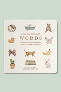 Book titled 'Our Big Book of Words' with illustrations on a light green background