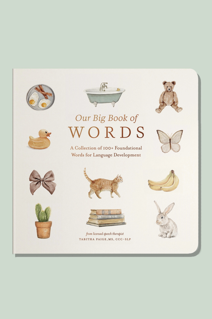 Book titled 'Our Big Book of Words' with illustrations on a light green background