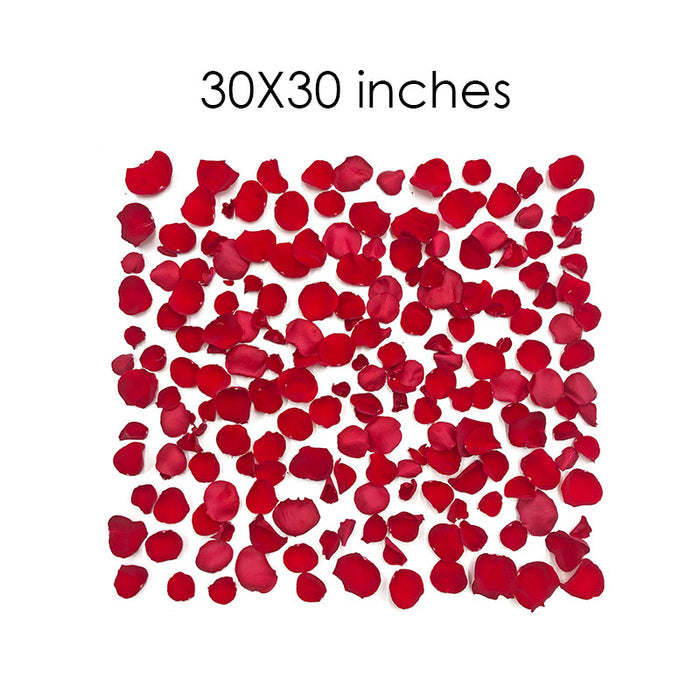 Rose Petal