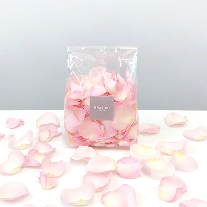 Rose Petal