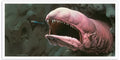 Space Worm Escape