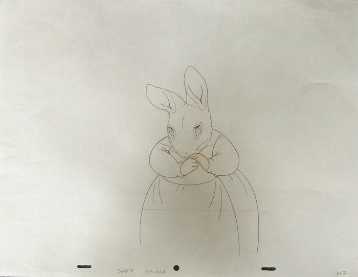 The Tale of Peter Rabbit and Benjamin Bunny